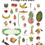 A Practice for Everyday Life