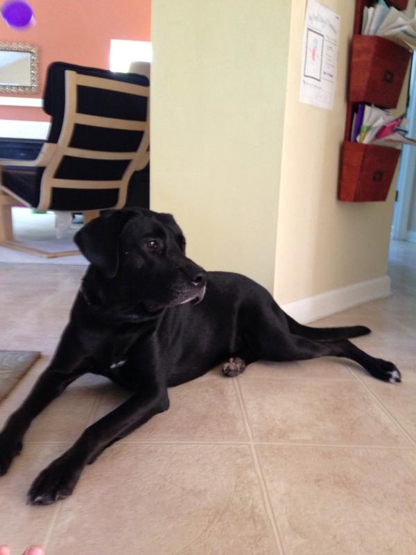 Chillin. http://t.co/1uplllzfPu