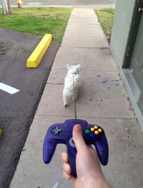 RT @FunnyVideoGame: How gamers walk their dogs htt…
